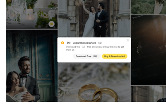 Gallery Download Prompt